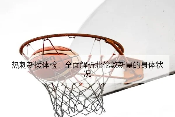 热刺新援体检：全面解析北伦敦新星的身体状况
